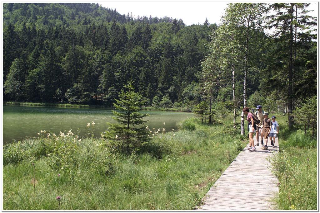 Aktivhotel & Gasthof Schmelz Ihr Urlaubs Hotel In Inzell Mit Wellness Hallenbad, Alpensauna & Dampfbad Exteriér fotografie